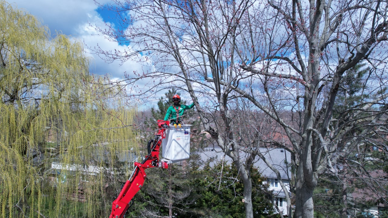 Experienced and Certified Arborist in Rochester NY
