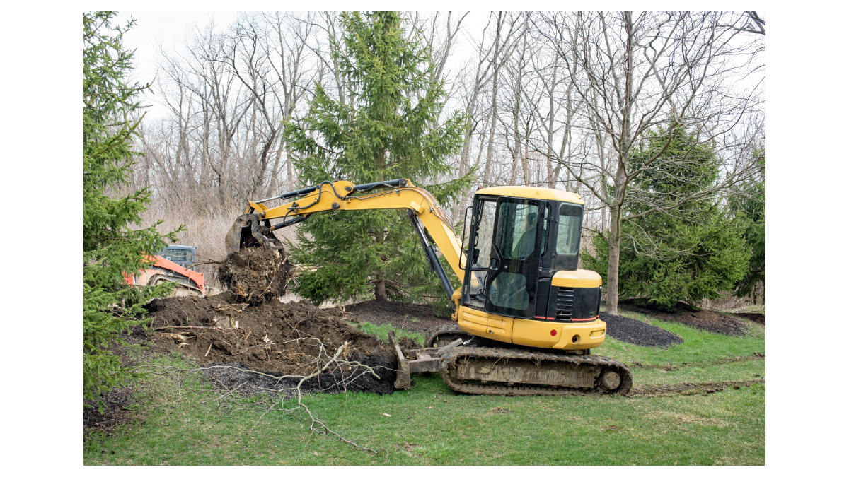 How Much Does Tree Removal Cost in Springfield