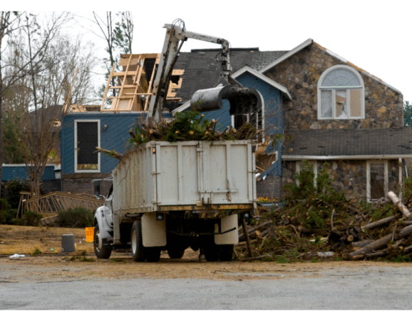 Emergency Tree Removal Services in Springfield: What to Do After a Storm