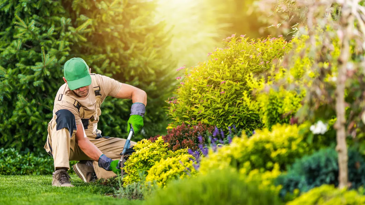 Regular tree trimming increases property value.