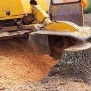 Stump Removal services Rochester NY