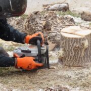 Best Stump Removal Company in Rochester