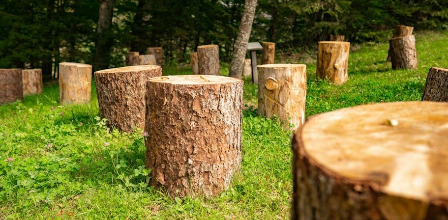 Professional arborists for tree removal in Rochester NY