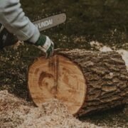 Affordable Stump Grinding Services in Rochester NY