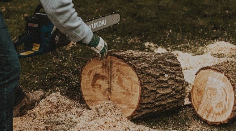 Affordable Stump Grinding Services in Rochester NY: Fast, Reliable, and Budget-Friendly Solutions