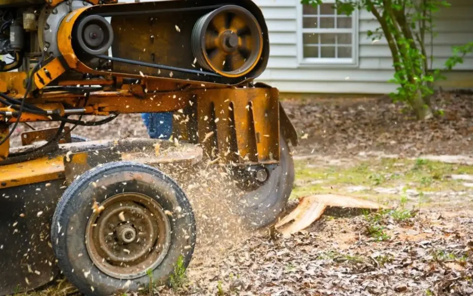Best Stump Grinding Service in Rochester NY in 2023