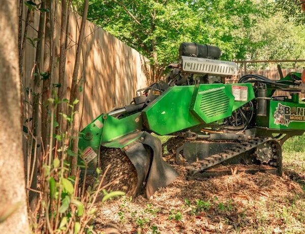 Choosing the Right Stump Grinding Company in Rochester NY