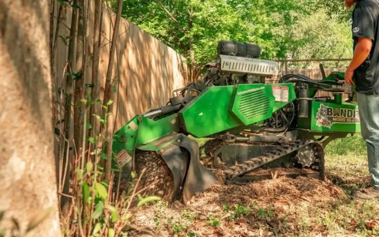 Choosing the Right Stump Grinding Company in Rochester NY