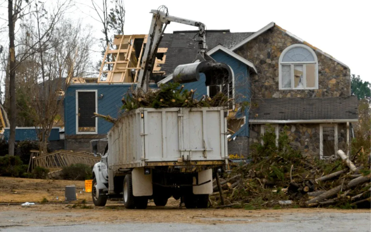 Emergency Tree Removal Services in Springfield: What to Do After a Storm