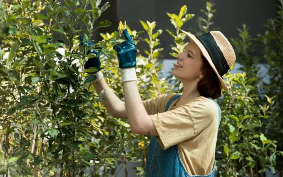 Overgrown tree trimming Rochester NY