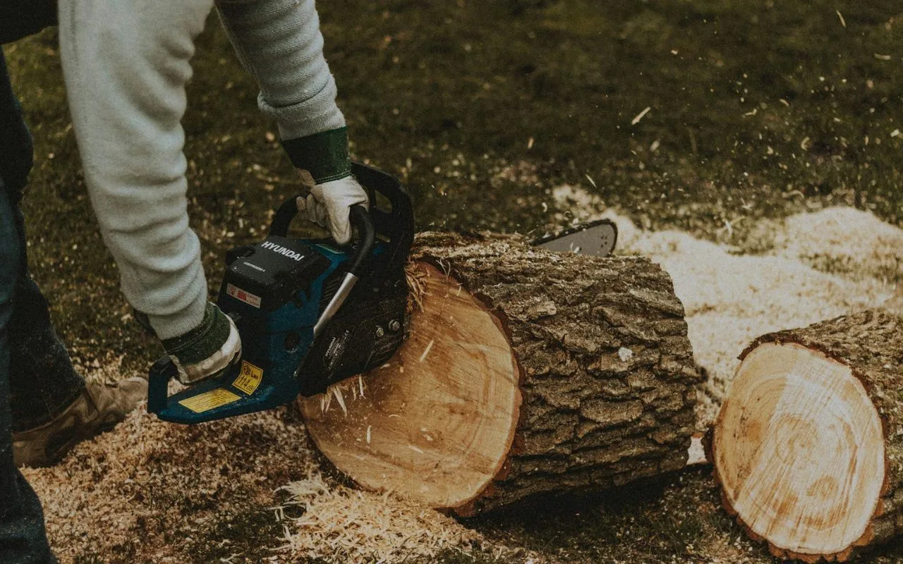 The Importance of Professional Tree Removal Services Rochester NY for Long-Term Safety