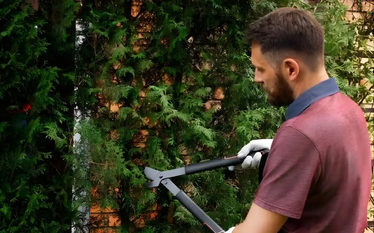 How To Find The Best-Certified Arborists In Rochester, NY?